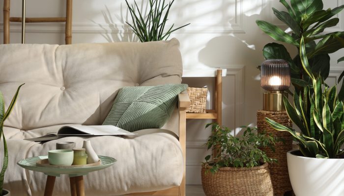 Bloc 4_Particuliers_Votre Chez Vous2