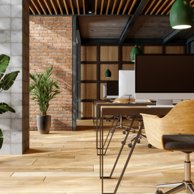 Office Harmony Feng Shui entreprise Luxembourg — ANZU Harmony