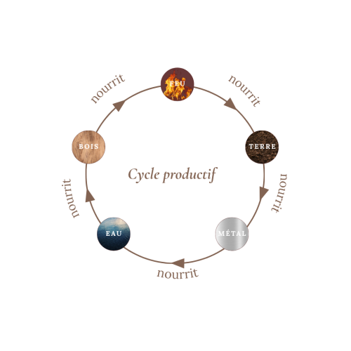 Le cycle productif des 5 éléments selon La Méthode Reflet : Feu, Terre, Métal, Eau, Bois — cinq forces naturelles qui structurent chaque espace et chaque personne